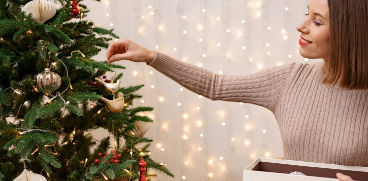 microsite-image-size-festive